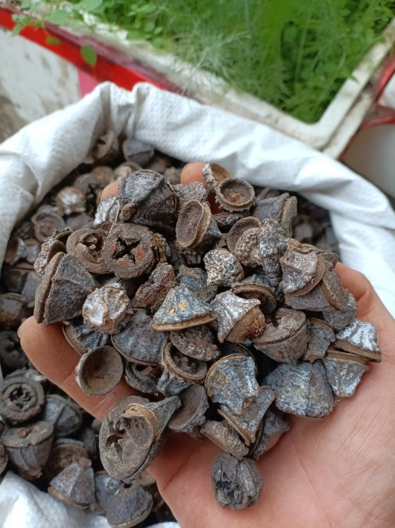 一口钟/精选好货/批发兼零售，量大可商议，全国包邮