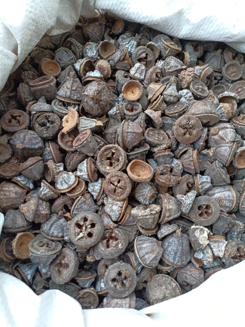 一口钟/精选好货/批发兼零售，量大可商议，全国包邮