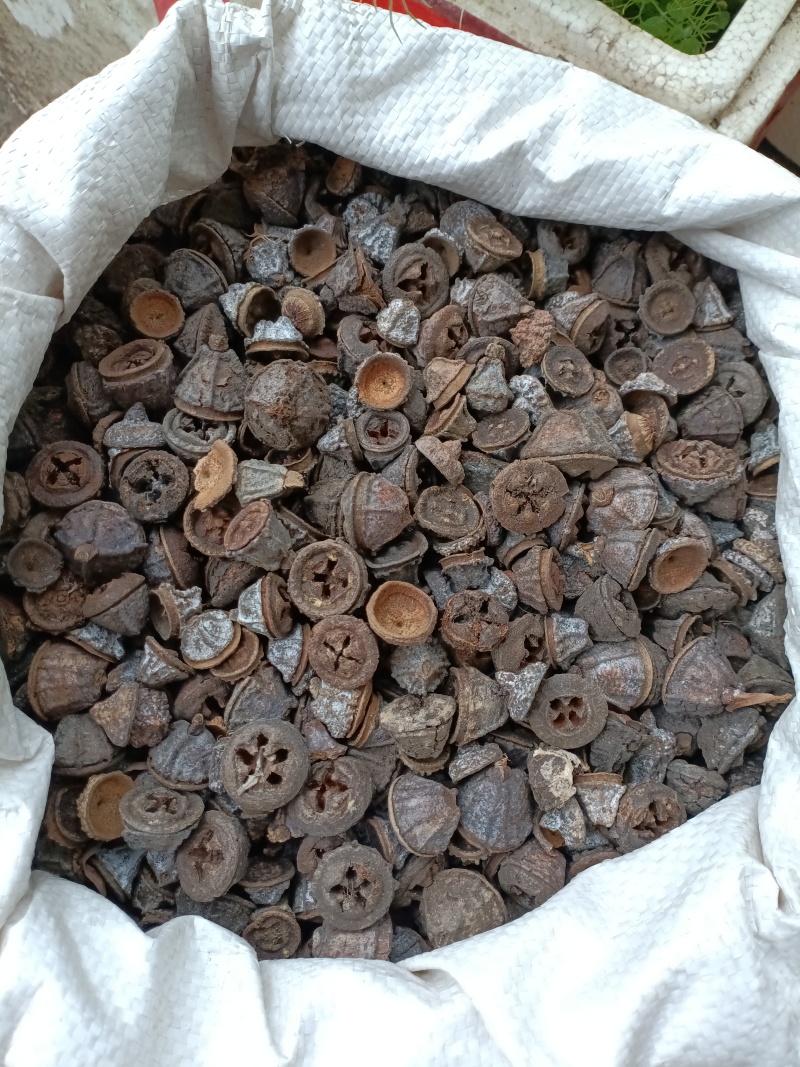 一口钟/精选好货/批发兼零售，量大可商议，全国包邮