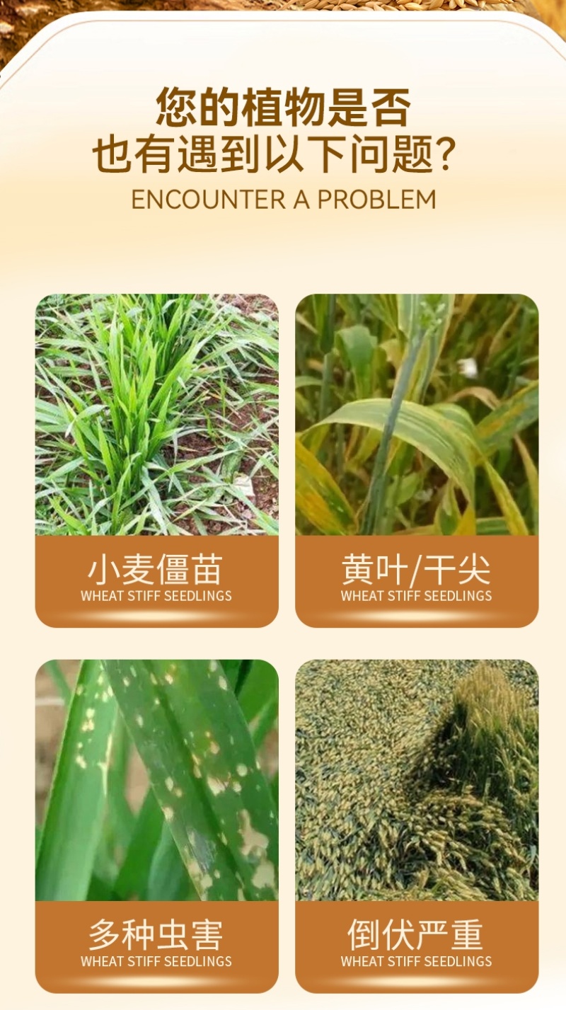 麦喜多含氨基酸水溶肥料高产小麦肥料厂家直销