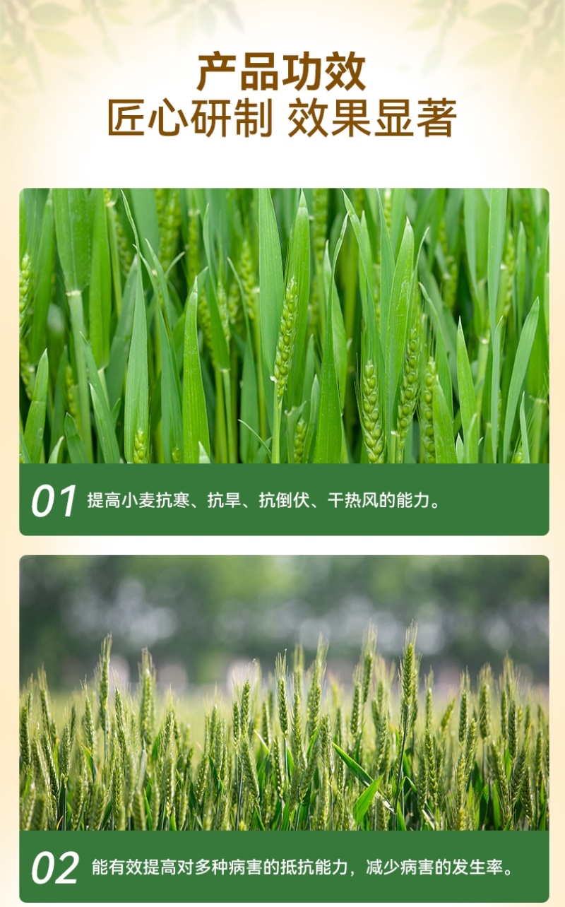 麦喜多含氨基酸水溶肥料高产小麦肥料厂家直销