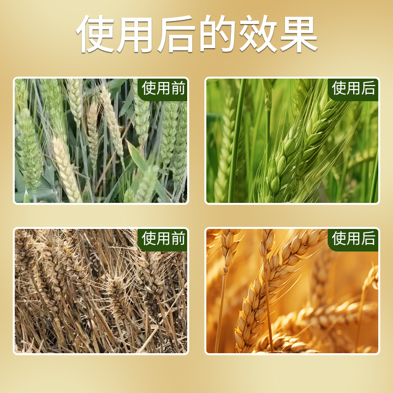 麦喜多含氨基酸水溶肥料高产小麦肥料厂家直销