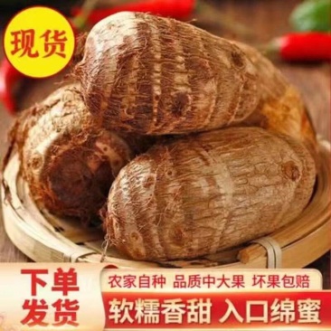 山东烟台莱阳沙土毛芋头农家自种产地直发