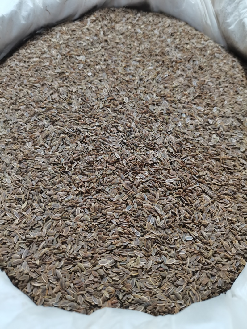 千里香/七里香/精选好货/批发兼零售，量大可商议，包邮