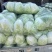 夏阳白菜，黄心菜，白菜，大白菜