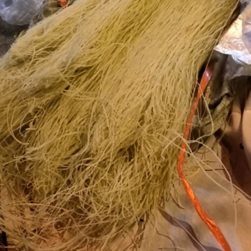 粉丝