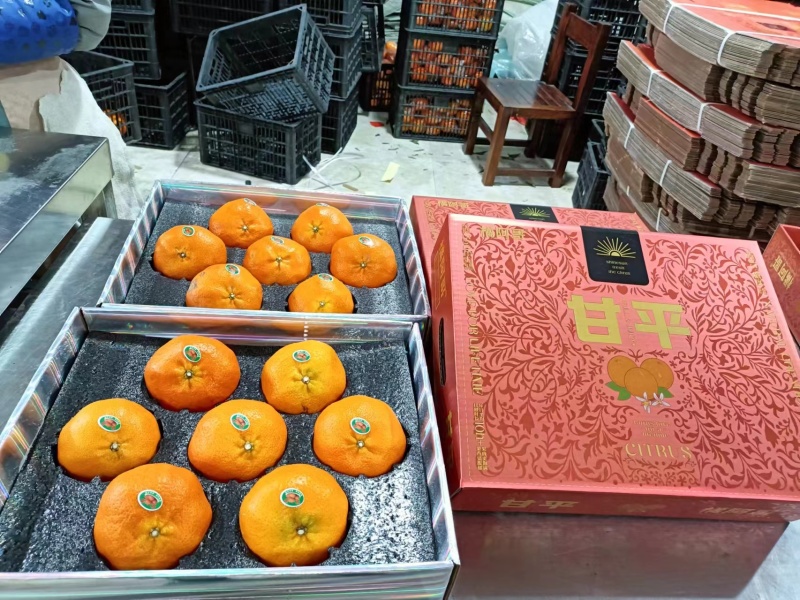 甘苹柑橘界的水果皇后口感香甜，