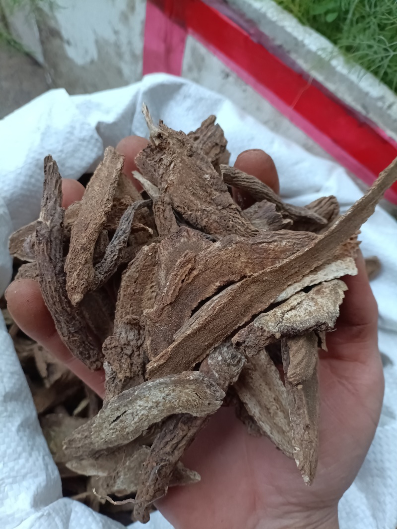 木香/云木香/精选好货/批发兼零售，量大可商议，全国包邮