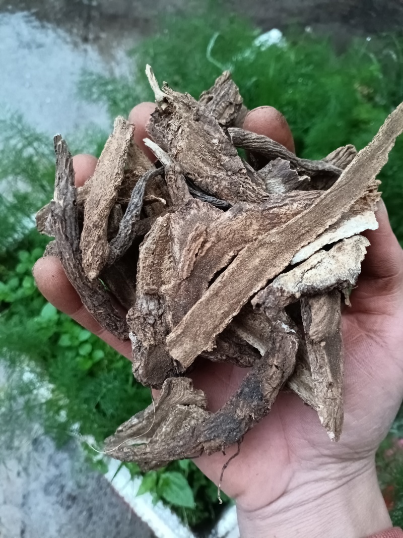 木香/云木香/精选好货/批发兼零售，量大可商议，全国包邮