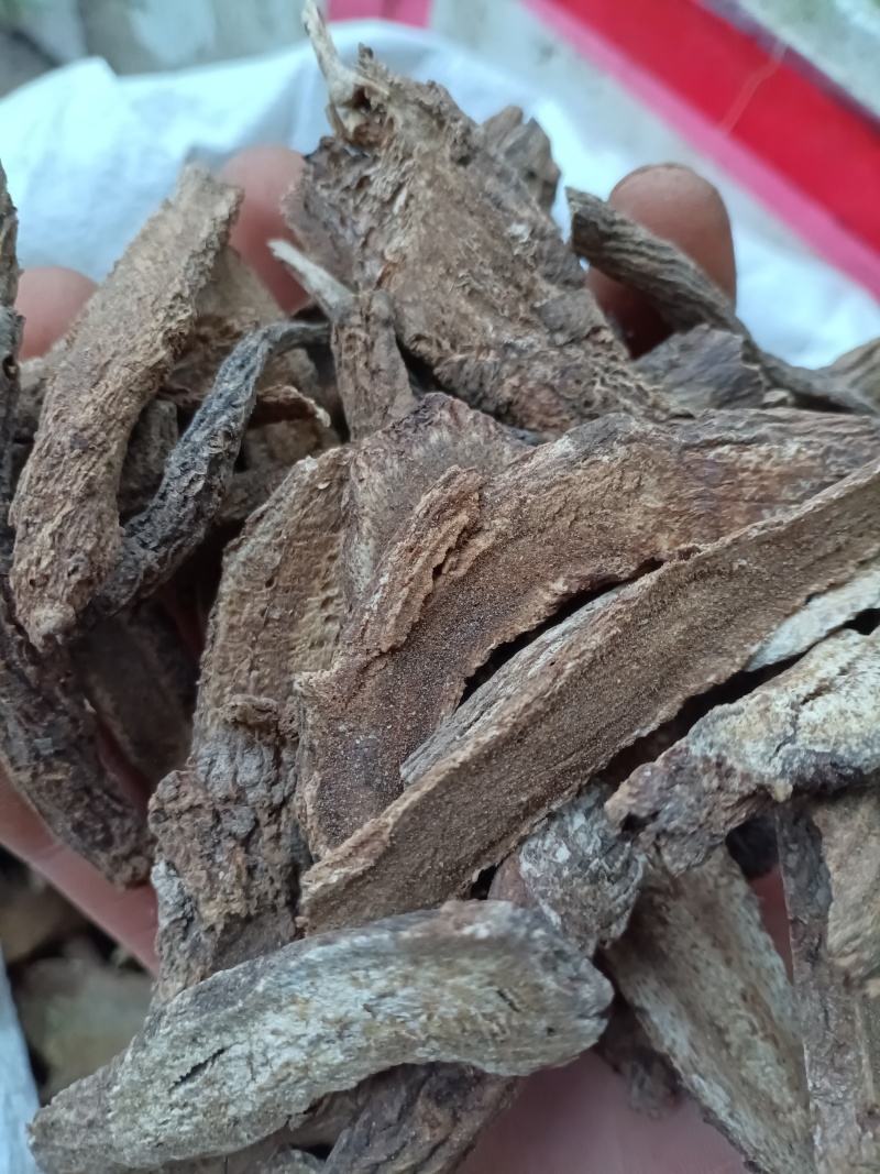 木香/云木香/精选好货/批发兼零售，量大可商议，全国包邮