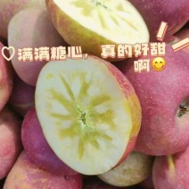 【十斤装】盐源县冰糖心苹果货源充足，果园现摘直发