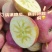 【十斤装】盐源县冰糖心苹果货源充足，果园现摘直发
