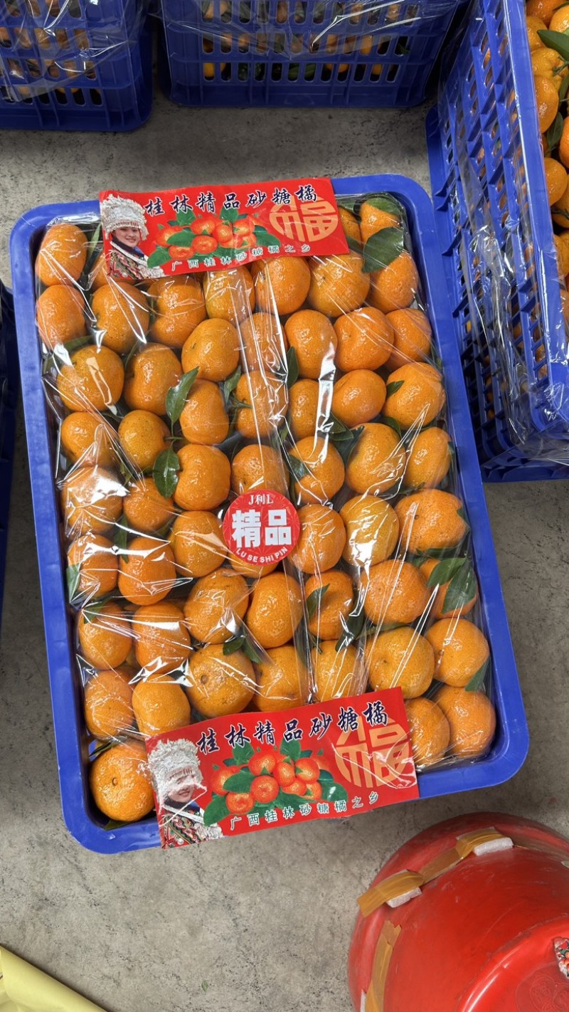 广西棉桔蜜广皮薄多汁色泽金黄芳香浓郁甜酸适口
