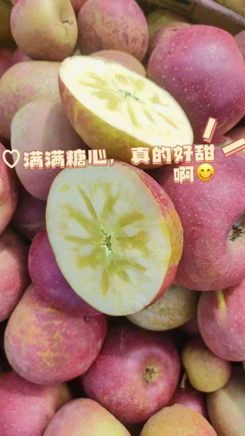 【十斤装】盐源县冰糖心苹果货源充足，果园现摘直发