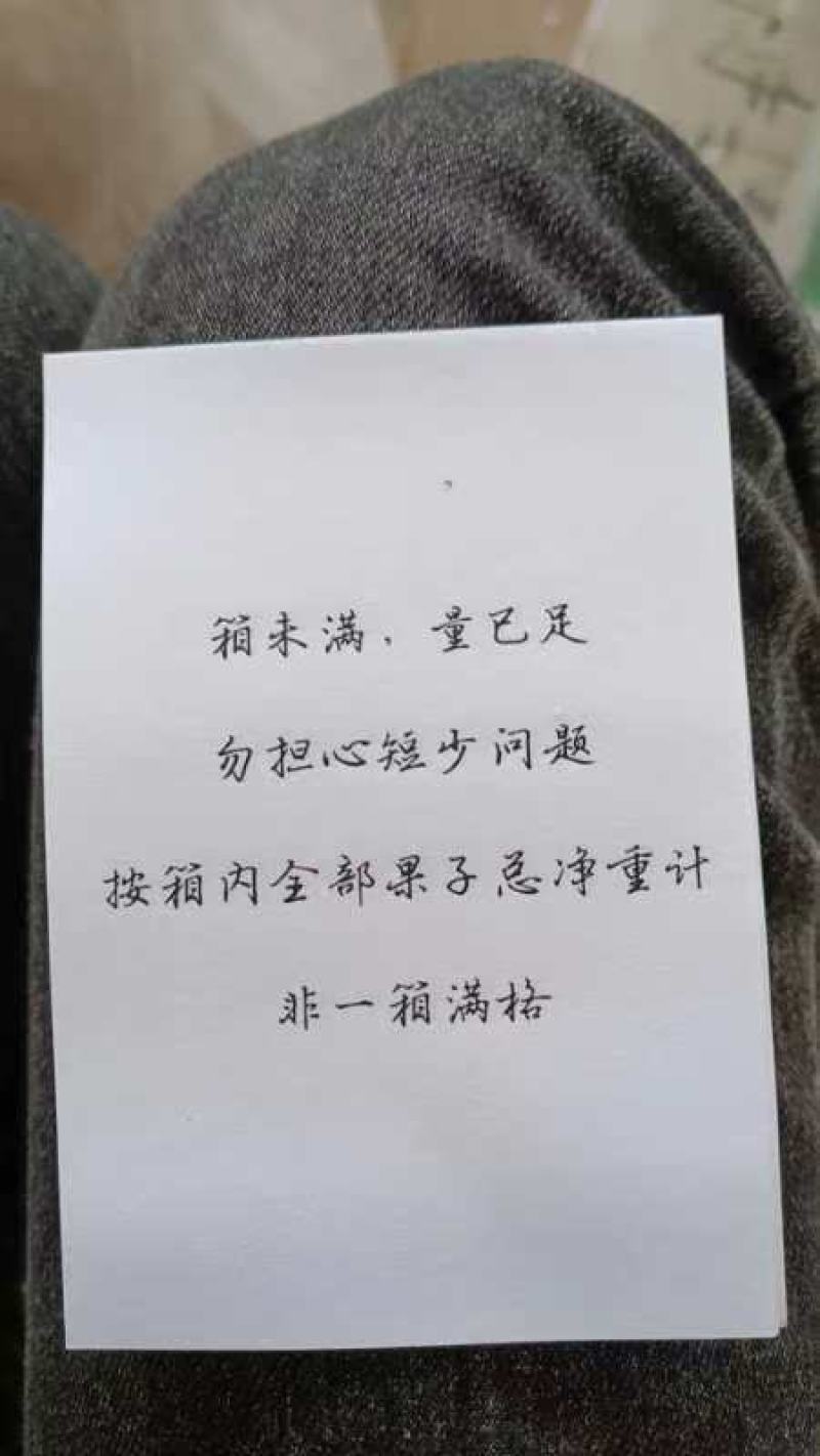 【十斤装】盐源县冰糖心苹果货源充足，果园现摘直发