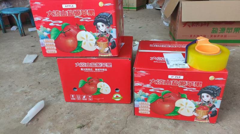 【十斤装】盐源县冰糖心苹果货源充足，果园现摘直发