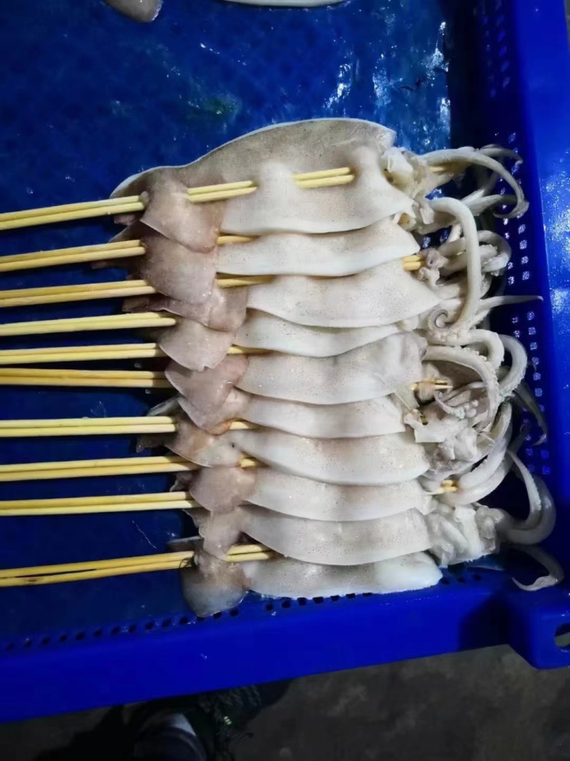 清仓价！鱿鱼板串30克，50克，最后几十件
