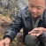 虫草西藏产地直发本地特产保证正品全国包邮