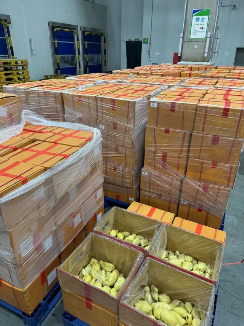 液氮冷冻金枕榴莲纯果肉产地源头直发品质保证