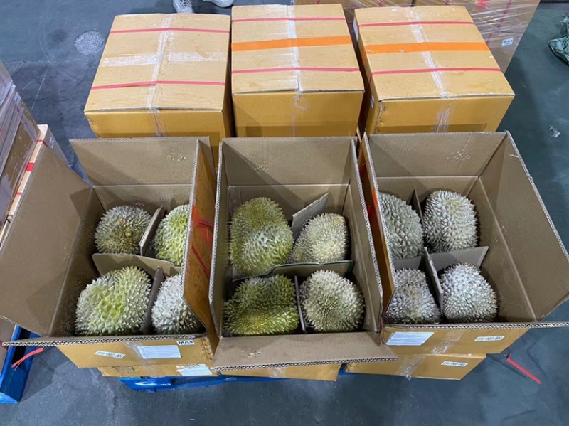 液氮冷冻金枕榴莲整果液氮干尧榴莲广州江南市场源头