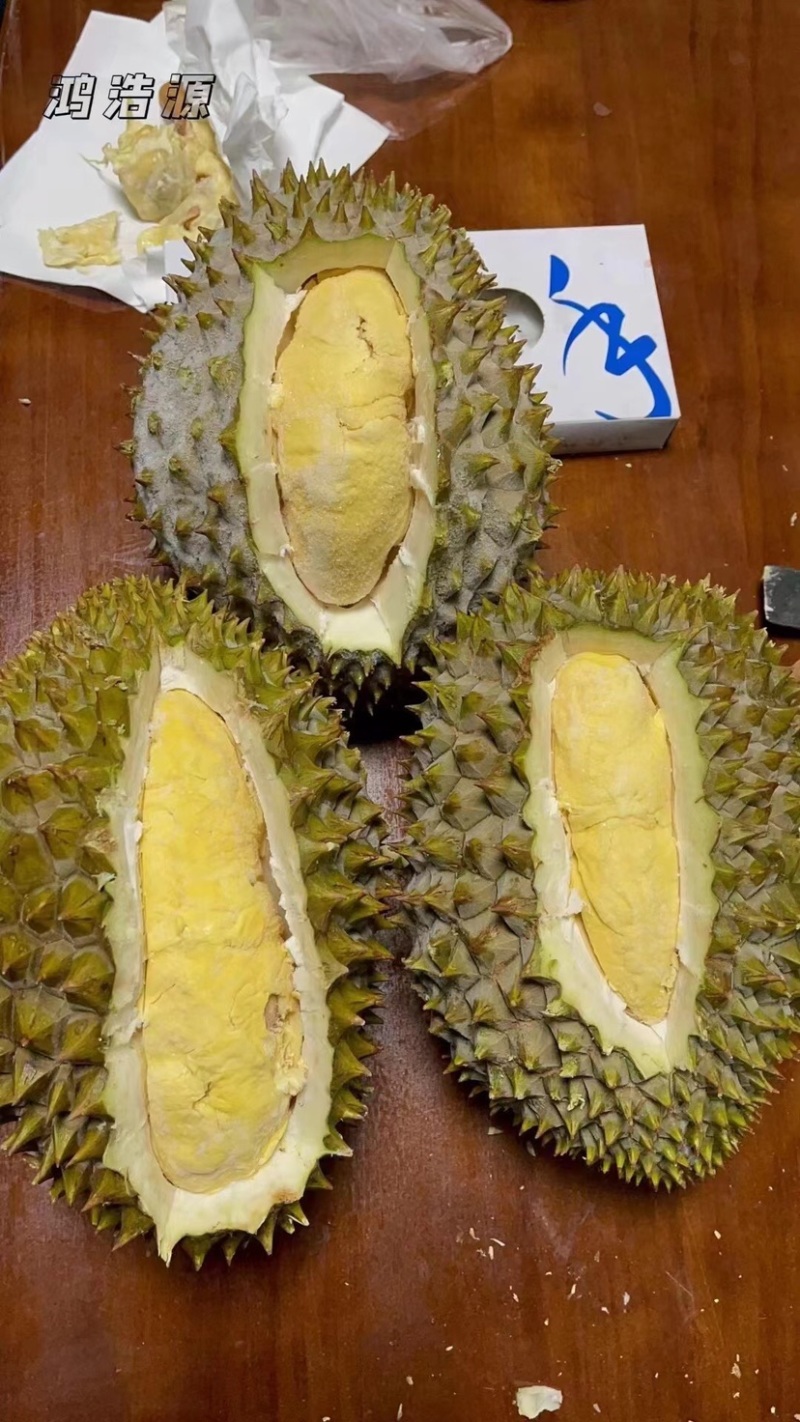 液氮冷冻金枕榴莲整果液氮干尧榴莲广州江南市场源头
