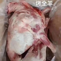 烤全羊。内蒙羔羊一级货