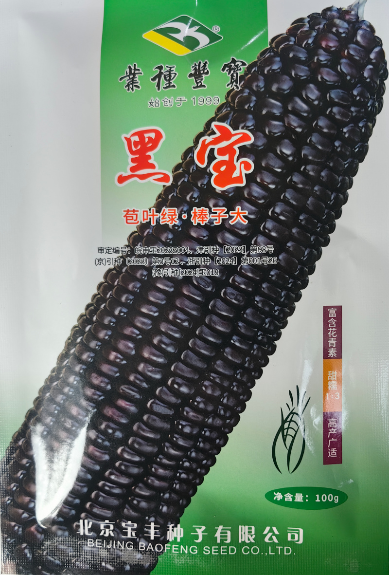 黑甜糯玉米种子黑宝大棒甜加糯软糯粘香紫黑糯春夏秋玉米种子
