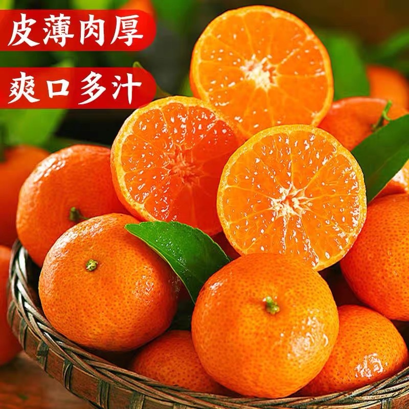 广西砂糖橘，果面干净，纯甜无渣，对接外贸出口，全国市场