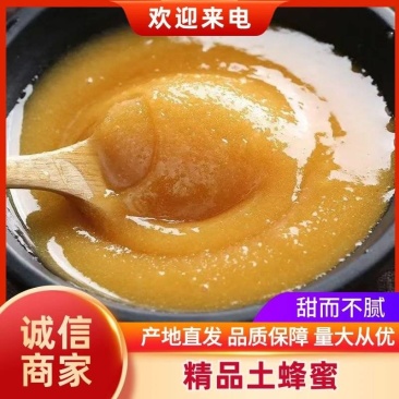 农家正宗土蜂蜜，品质保证货源充足欢迎下单包邮到家哦！