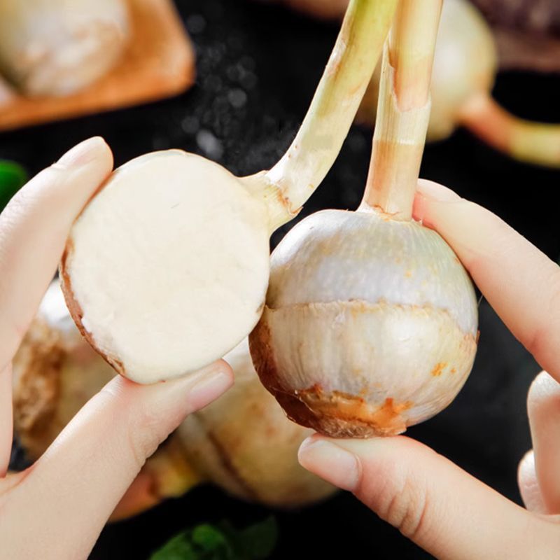云南大《慈菇》茨菇，整车代收代发(全国电商一件代发)