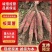 秦薯5号白心2两半以上，量大从优，需要的老板可私聊