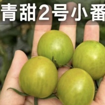 青甜二号小番茄，寿光市产区大量上市，规格价格齐全可代收！