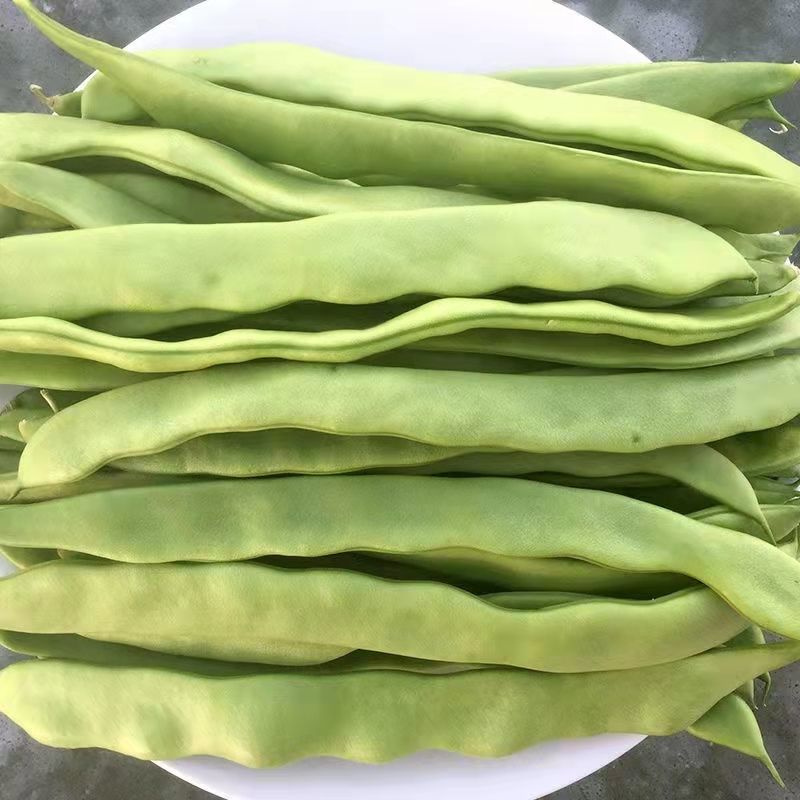 【青扁豆】产地直发，价格便宜，全国发货，可对接电商超市等