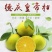 皇帝柑广西柑橘产地一手货源，大量现货供应，可视频看货