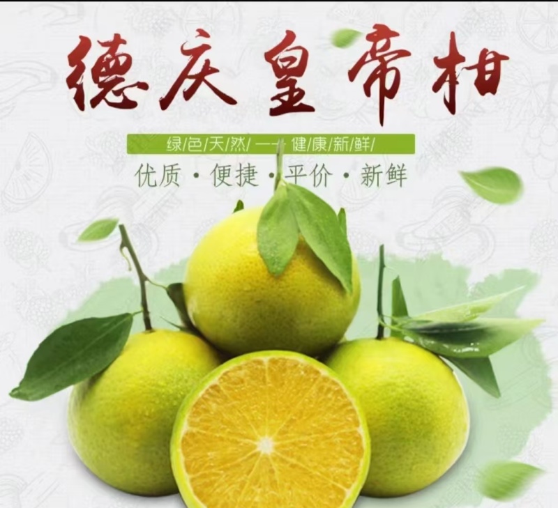 皇帝柑广西柑橘产地一手货源，大量现货供应，可视频看货