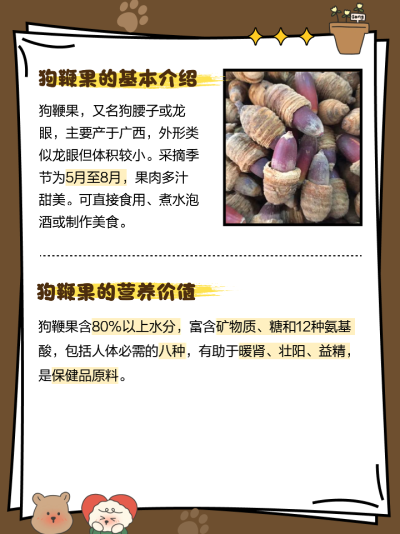 狗鞭果