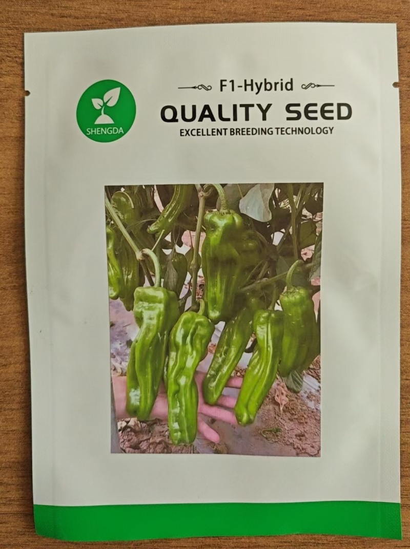 薄皮椒种子辣椒种子香辣薄皮椒种子蔬菜种子