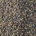 水翁花【包邮】三斤起发货可批量可零售量大从优