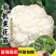 有机花菜苗秧苗青梗花松花菜种苗甘蓝苗子西兰苗春秋菜花秧苗