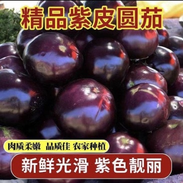 [紫光圆茄/产地直发/多种规格/内蒙圆茄]随时咨询！