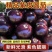 [紫光圆茄/产地直发/多种规格/内蒙圆茄]随时咨询！