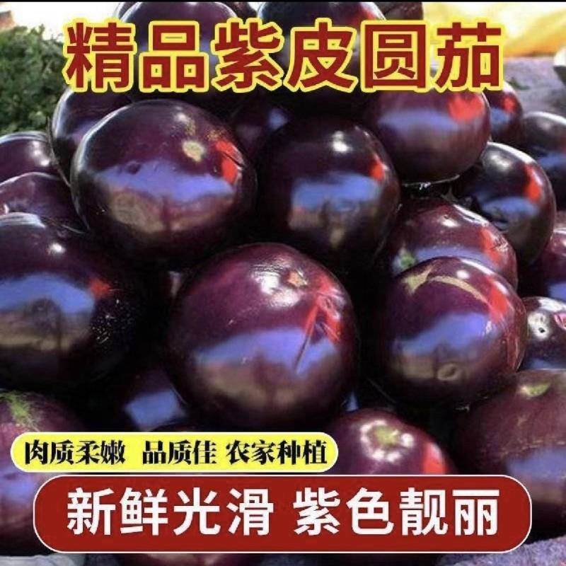 [紫光圆茄/产地直发/多种规格/内蒙圆茄]随时咨询！