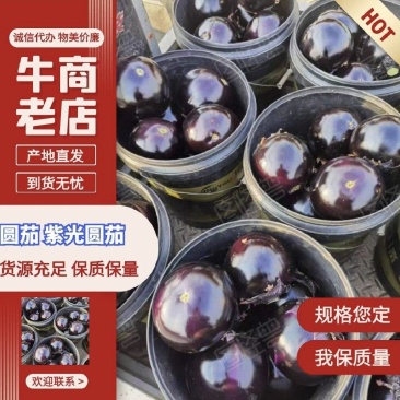 [辽宁圆茄/紫光圆茄/产地直发/各种精品]随时电联！
