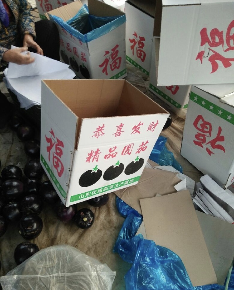 [辽宁圆茄/紫光圆茄/产地直发/各种精品]随时电联！