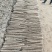 麻山药二路量大质优价格优惠一手货源欢迎各大老板采购