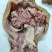 正品保障价格美丽自家农场自产自销牛头肉