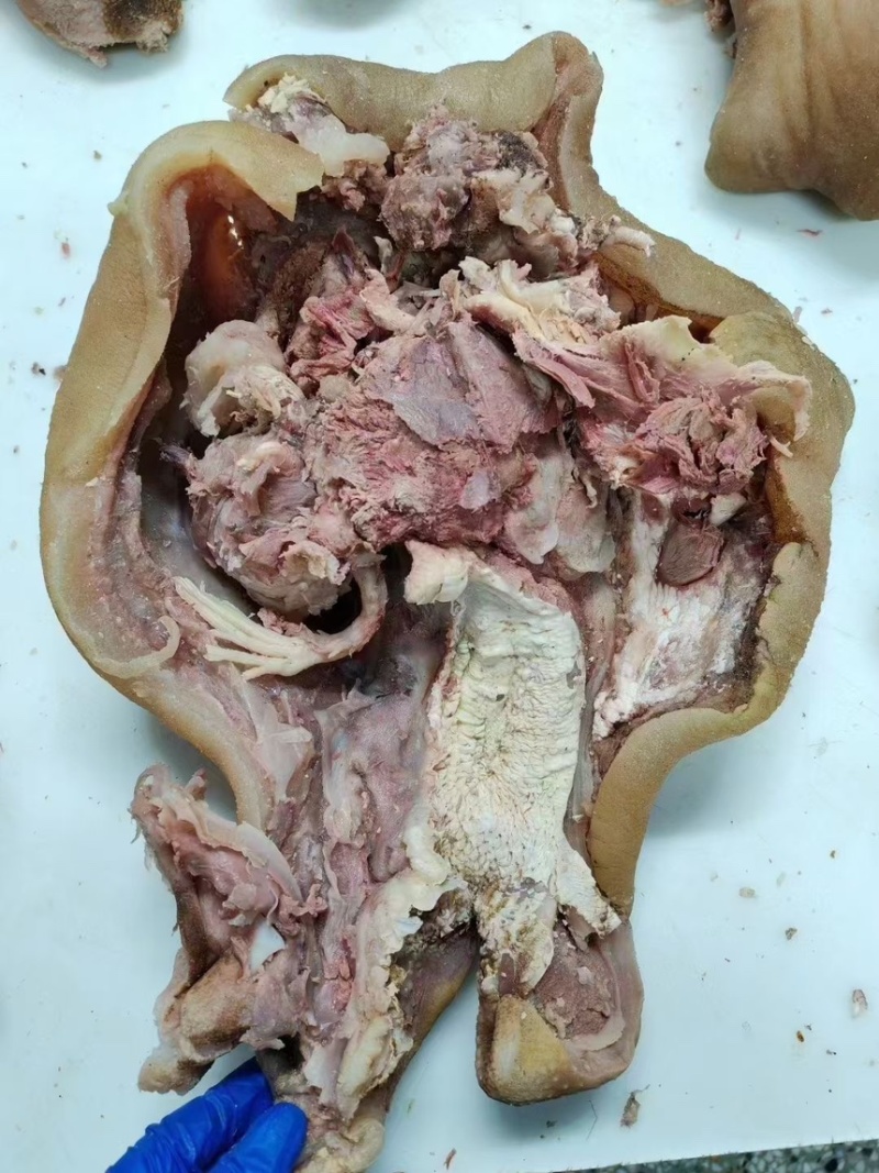 正品保障价格美丽自家农场自产自销牛头肉