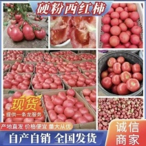 [河北西红柿/产地直发/多规格/精品]24小时在服务！