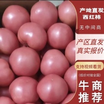 [内蒙西红柿/产地直发/多种规格/精品]随时电联！