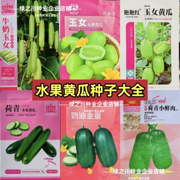 信研水果黄瓜种子大全迷你黄瓜金童玉女种子脆甜黄瓜种籽阳台